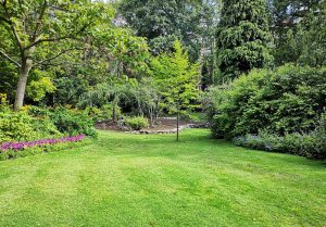 Optimiser l'expérience du jardin à Montord